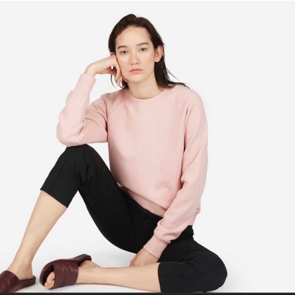 Everlane The Slim Classic French Terry Crew